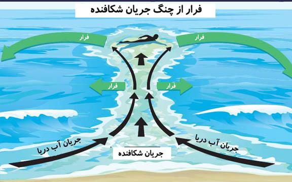 چرا دریای مازندران این‌قدر کشته می‌دهد؟