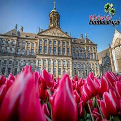 بهترین زمان سفر به آمستردام، پایتخت گل های لاله