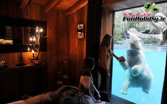 شب خود را در این هتل در کنار خرس قطبی بگذرانید