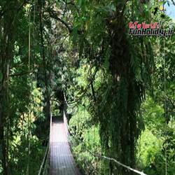 پارک ملی گونونگ مولو در مالزی